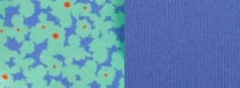 polka floral lullaby/lullaby