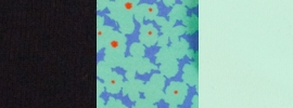 black/polka floral lullaby/fresh teal