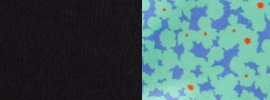 black/polka floral lullaby