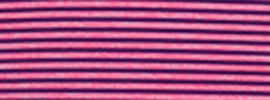 neon pink mvp stripe