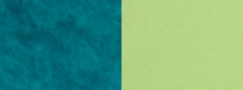 peacock/ sunny lime