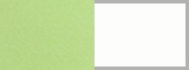 sunny lime/ white