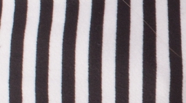 classic stripe black white